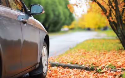Safe Driving Tips for Fall: Handling Shorter Days & Slick Roads